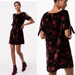 Loft Velvet Floral Print Shift Dress